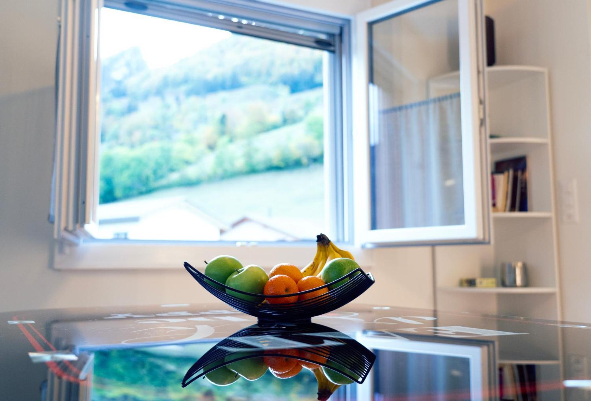 Gruyere Alpes Appartement 3 Chambres Bbq Parking Neirivue Экстерьер фото